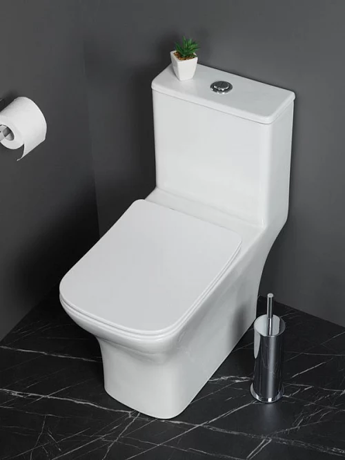 Фото Унитаз моноблок BelBagno Neon BB8617CPR-MN/SC безободковый купить в Омске: цена, описание, фото. Интернет-магазин 1