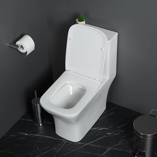 Фото Унитаз моноблок BelBagno Neon BB8617CPR-MN/SC безободковый купить в Омске: цена, описание, фото. Интернет-магазин 2