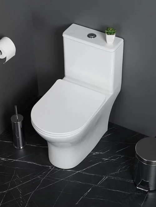 Фото Унитаз моноблок BelBagno Lounge BB8618CPR-MN/SC безободковый купить в Омске: цена, описание, фото. Интернет-магазин 1