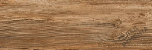 Фото Керамогранит матовый Lasselsberger Ипанема 6264-0011 (структурный) коричневый 200*600*8,5 – купить в Омске: цена, описание, фото. Интернет-магазин 3